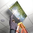 thumbnail image 5 of Octo Lights - Fluorescent Light Covers - 2x4 Flexible Ceiling Light Filters - For Classrooms and Offices - Tree 006, 5 of 7