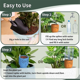 thumbnail image 3 of Paquete de 4 picos de riego, bonitos dispositivos de autorriego para plantas en vacaciones, sistema de riego lento para plantas de interior, 3 of 8