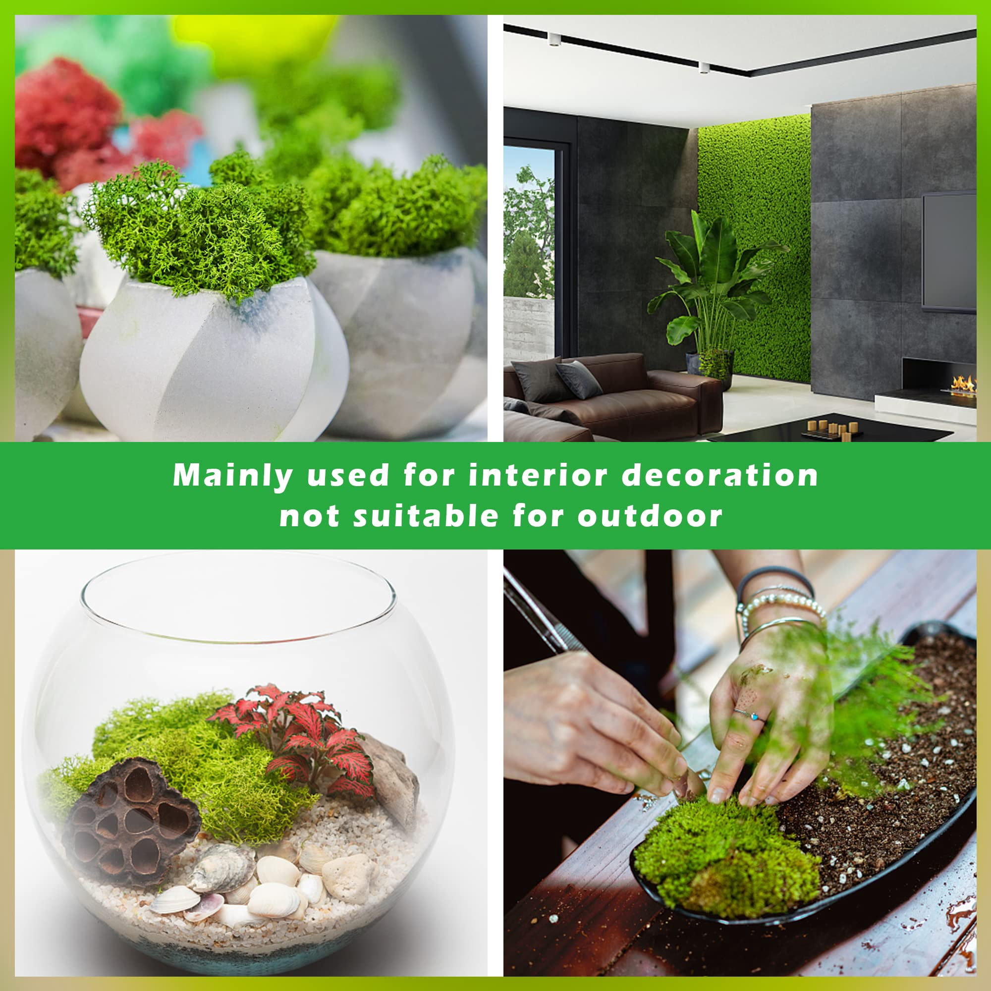 6 Colors Preserved Moss - 16.9 oz Natural Reindeer Moss for Crafts Potted Plants Floral Arrangements Home Garden Decor
