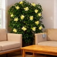 thumbnail image 6 of 40in Battery Powered Bee String Lights, Portable Honeybee LED Decoration for Walls Windows and Outdoor Spaces, Eco-Friendly Festive Lights for Party or Home Decor, 6 of 7