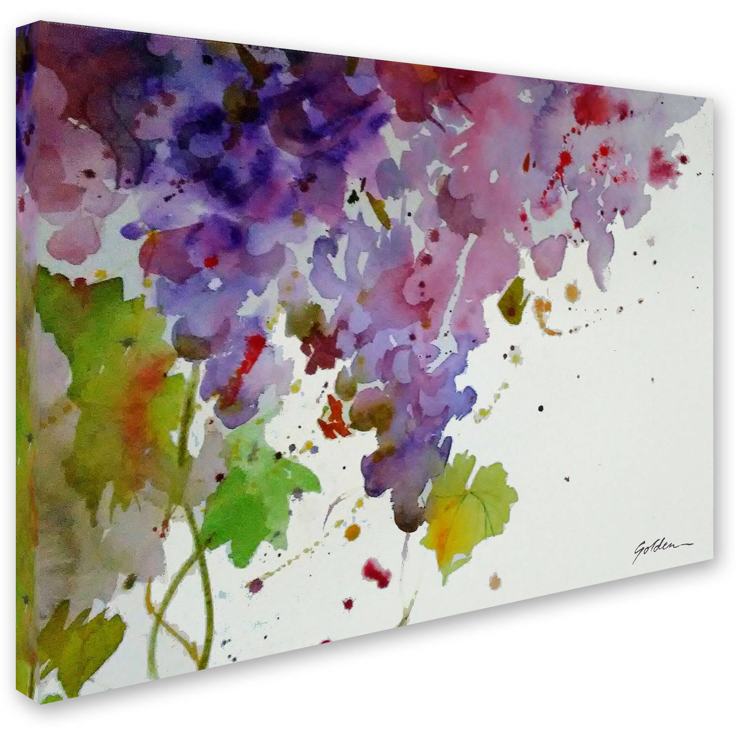 Trademark Fine Art "Harvest I" Canvas Art by Sheila Golden