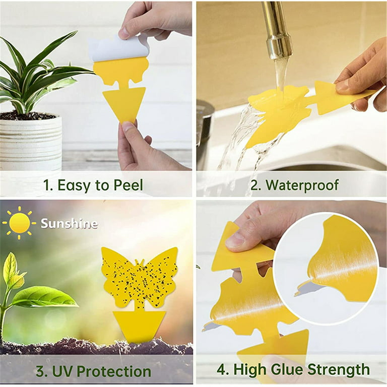 Elbourn 20pcs Sticky Fruit Fly Trap and Fungus Gnat Traps for Indoor and Outdoor, Protect The Plant, Non-Toxic and Odorless, Size: 20PCS-a1, Yellow