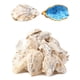 thumbnail image 1 of ¿Letravagance 20 piezas de conchas de ostras para manualidades? ¿Concha de ostra grande de 3 a 4 pulgadas para manualidades? ¿Conchas de ostra para Navidad? ¿Pintura? ¿Temas de playa? Conchas caseras, 1 of 1