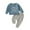 Blue, variant on Toddler Baby Boy Fall Winter Clothes 70,80,90,100,110 Baby Boy First Birthday Outfit Long Sleeve Sweatshirt Tops Wild One Birthday Shirt Pants Set Fall Clothes Size for 6-12 Months,Blue