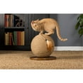 thumbnail image 2 of Prevue Pet Kitty Power Paws Sphere with Tassel Cat Toy, 2 of 5