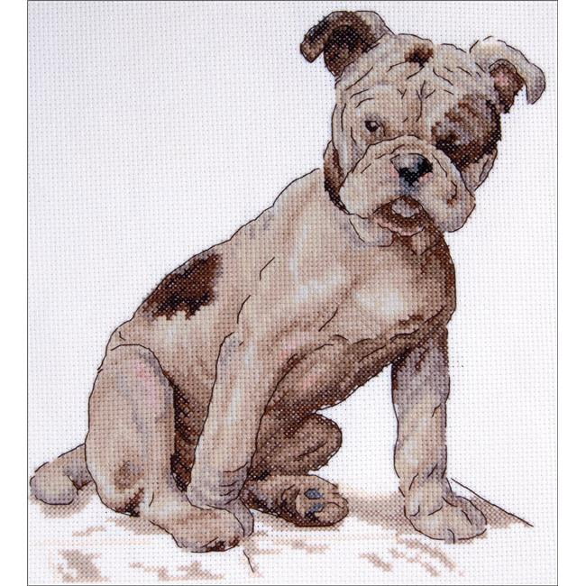 Bulldog Bull Dog Puppy Counted Cross Stitch Kit 8/" x 8/" Free P/&P