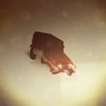 thumbnail image 3 of Silent Hill (Original Video Game Soundtrack) (2xLP Eco-Vinyl Record), 3 of 3
