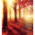 thumbnail image 3 of Woodland Duvet Cover Set, Sun Beams Through Misty Old Forest in Fall Season Morning View Dreamy Picture, Decorative 2 Piece Bedding Set with 1 Pillow Shams, Twin Size, Yellow Red, by Ambesonne, 3 of 3