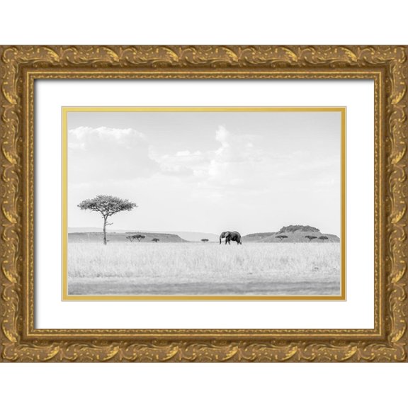 Marx, Jaco 24x17 Gold Ornate Wood Framed with Double Matting Museum Art Print Titled - HIGH KEY SAVANNAH