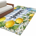 thumbnail image 2 of Summer Lemon Washable Area Rugs 4'x6', Oceans Blue Shells Starfish Flower Blue Plaid Low Pile Throw Living Room Rug Non-Slip Sturdy Edge Binding Carpet for Indoor Entryway Bedside Kitchen, 2 of 9