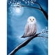 thumbnail image 1 of Diamond Painting (DE5892) DIY 5D Kit Búho Square Rhinestone Arts (WT254) 20X30cm Hugtrwg Para estrenar, 1 of 1
