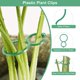 thumbnail image 2 of Uxcell 100-Pack Clips de Soporte para Plantas, 2.4" x 1.6" x 0.08" (L x W x H) Sujetadores de Clips para Plantas de Plástico, 2 of 7