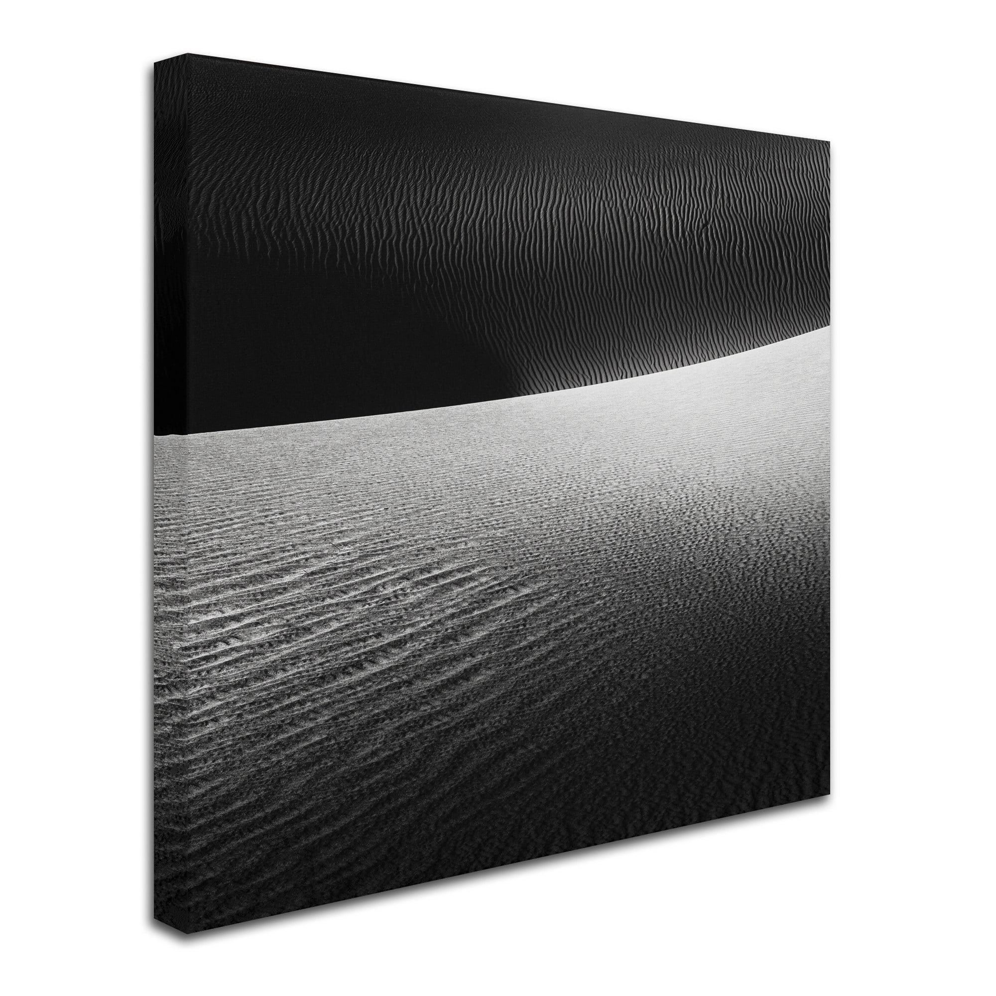 Trademark Fine Art Dave MacVicar 'Perpendicular' 24 x 24 (ALI0873-C2424GG)