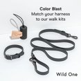 thumbnail image 7 of Wild One Dog Harness, The Original No-Pull, Pet Harness with 3 Leash Clips, Adjustable Soft Padded Vest, Comfortable, Stretchy, Size XS, Black, 7 of 7