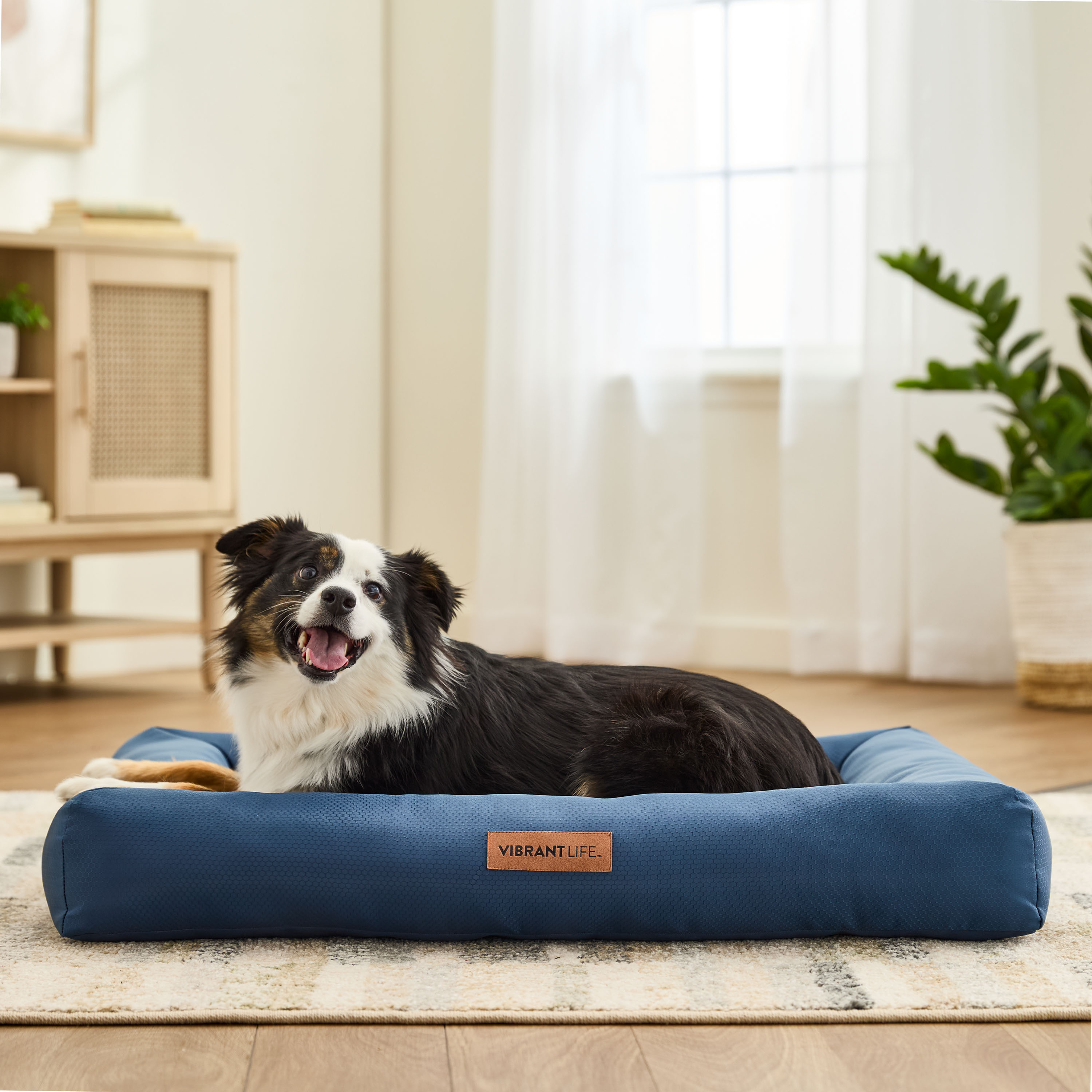 Vibrant Life Durable Bolster Pet Bed, Large Blue, 36x27" photo 2