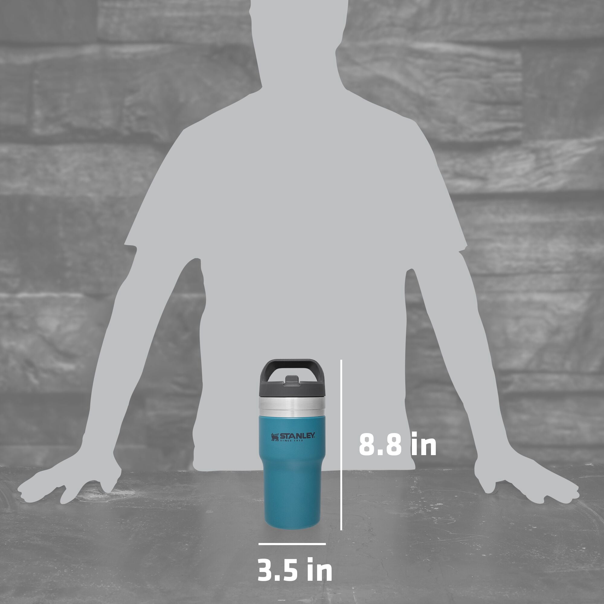 Stanley Classic Flip Straw Insulated Stainless Steel Tumbler, 20 oz