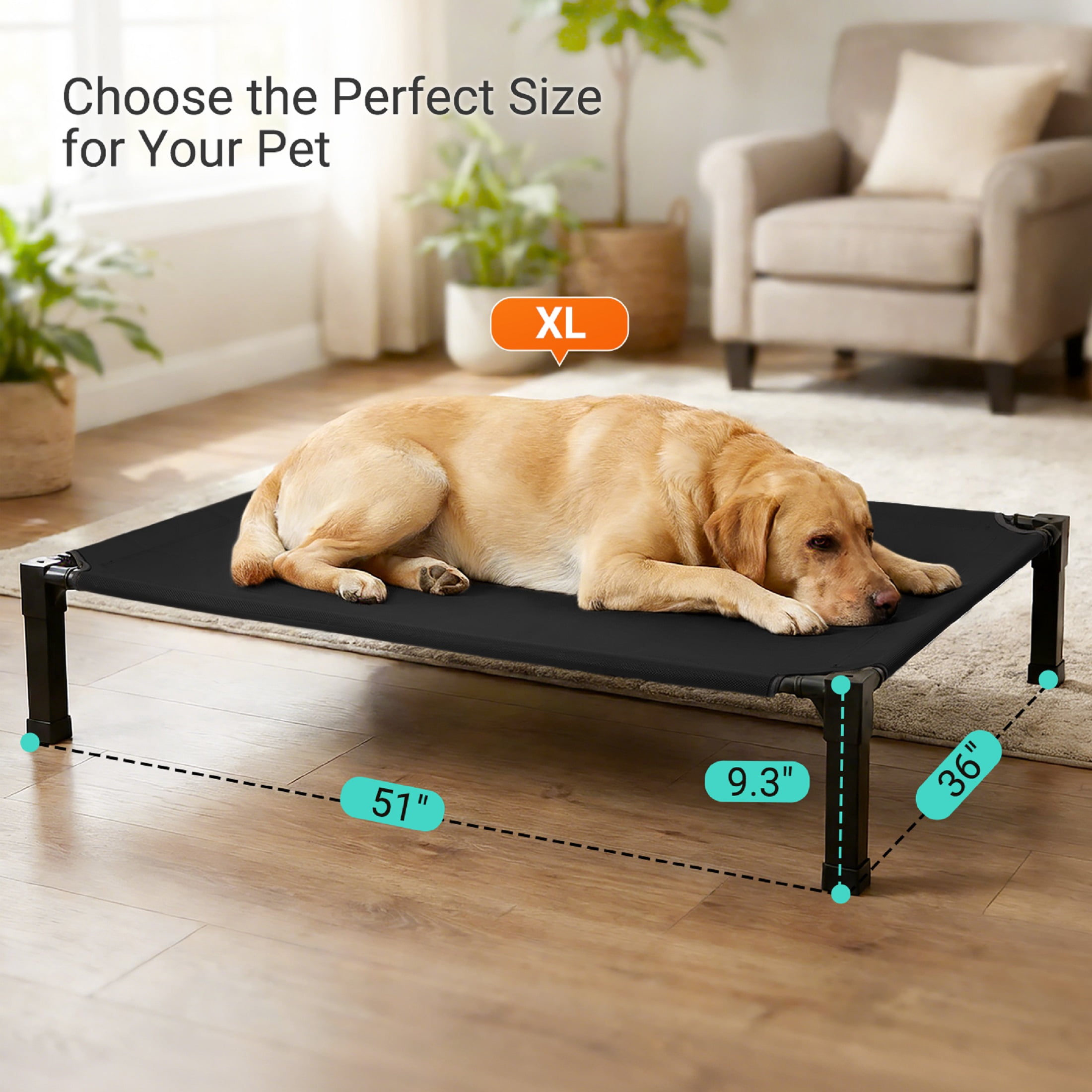 Elevated Dog Bed, Cooling Raised Bed, Portable&No-Slip for Outdoor or Indoor Use, Black, Large, 51"L x 36"W x 9.3"H