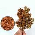 thumbnail image 4 of Maoww Scene Accessories Leaf Micro Landscape Leaves for Sand Table Model Train Orange, 4 of 9