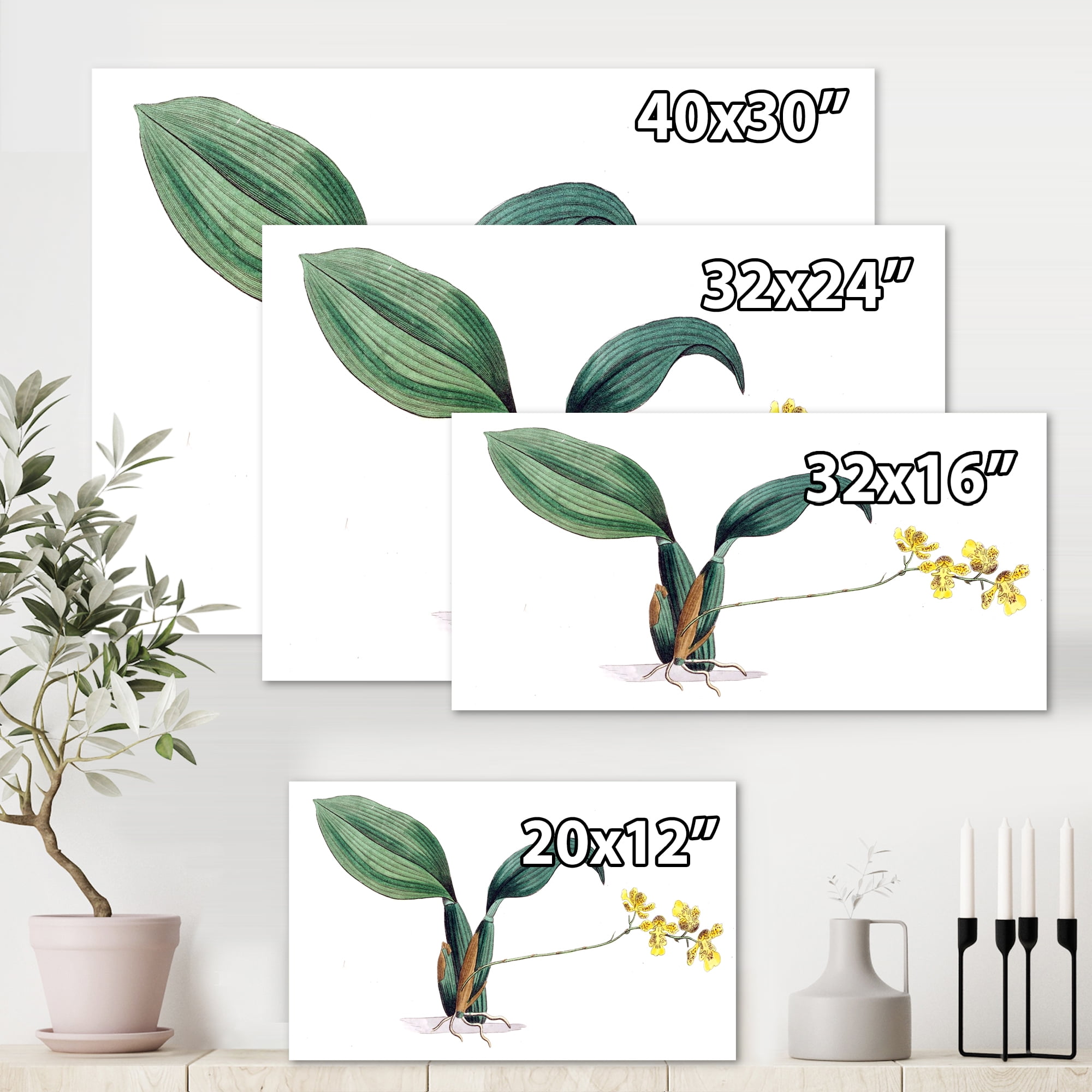 Designart ' Ancient Plant Life VI ' Traditional Canvas Wall Art Print