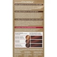 thumbnail image 6 of Revlon Permanent Hair Color Silk Ammonia Free, Dark Auburn, 1ct, 3-Pack, 6 of 6