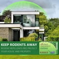 thumbnail image 2 of Mouse RodentRepellent, 10 Pack Peppermint Lemon Oil Mice Repellent for Squirrel Rats Spider Pests, Natural Deterrent for Kitchen, Warehouse, Car, Indoor, Outdoor, Safe for Pets Family, 2 of 7