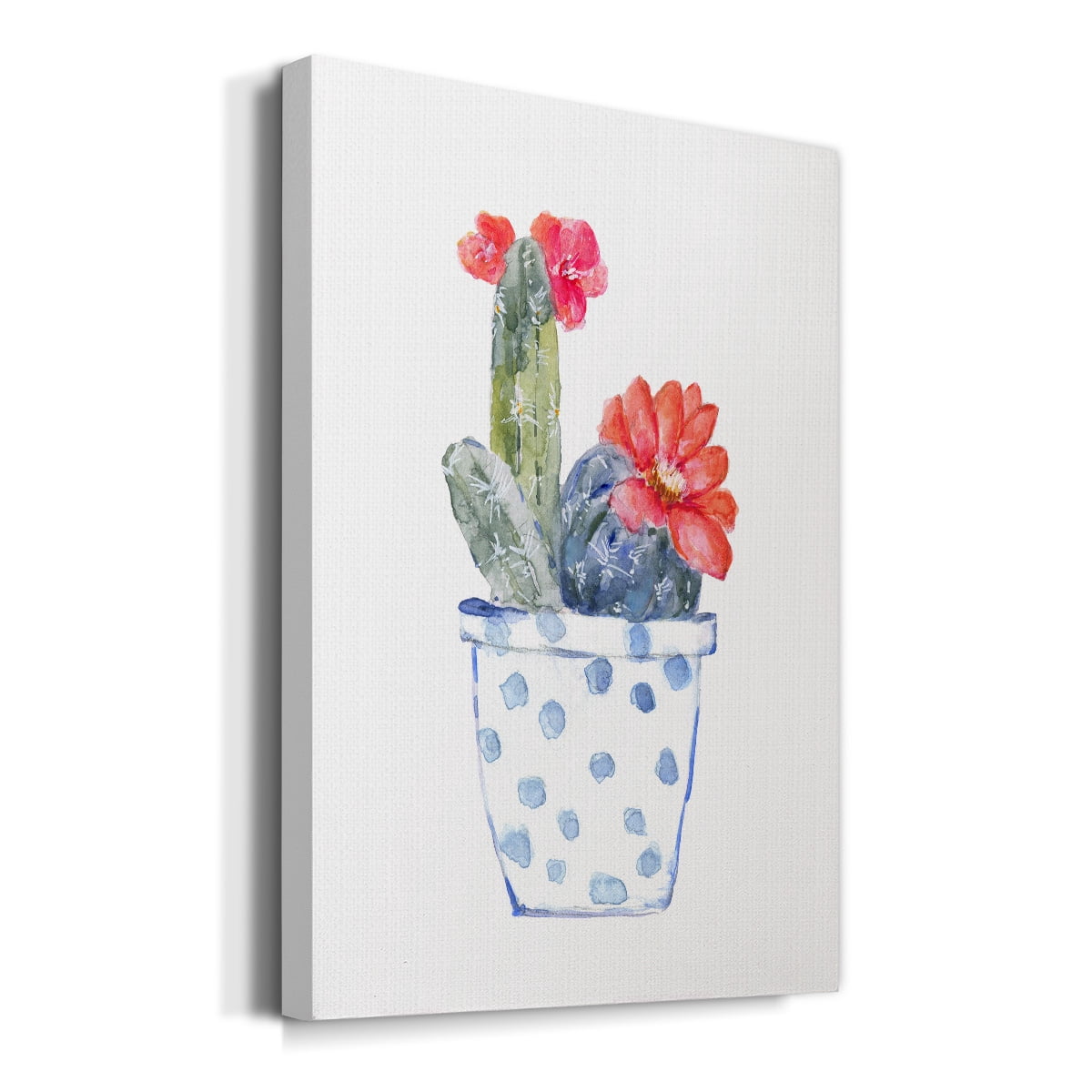 Cactus and Succulent Blooms II Premium Gallery Wrapped Canvas - Ready to Hang