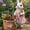 C, variant on Easter Bunny Resin Planter Cute Pots With Carrot Floral Details Indoor/Outdoor Table Decor 7.87x7 in
