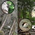 thumbnail image 5 of 16x52 Monocular Dual Focus Optics Zoom Telescope For Birds Watching / Wildlife / Camping, 5 of 5