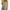 Beige, variant on UVN Crochet Beach Coverups Women Swimsuits Summer Short Sleeve Blouses Knit Hollow Out Tops