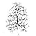 thumbnail image 1 of Lavinia Stamp - Fern Leaf, 1 of 1