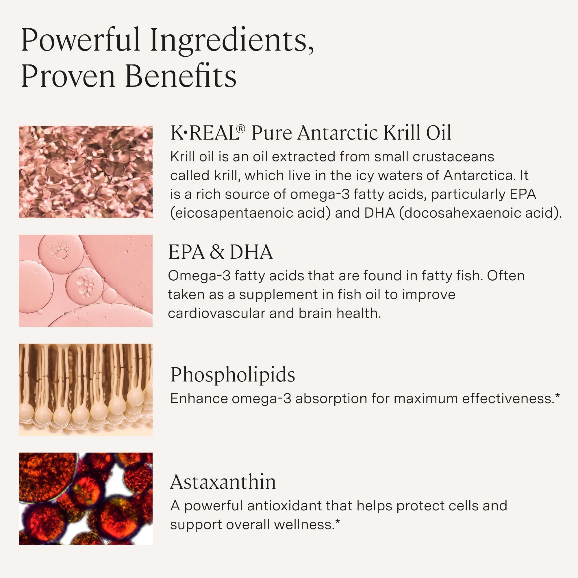 Stonehenge Health Krill Oil Omega 3 Antarctic Ocean Supplements, 1600 mg Gels, 60 Count