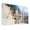 Color 1, variant on Marble Quarry 8 Pack Art Acoustic Panels Sound Absorbing Marble quarry Carrara Tuscany Italy Decorative Soundproof Wall Panels Self Adhesive for Nursery Game Room Bedroom 48"x32"