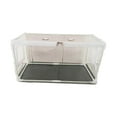 thumbnail image 4 of jinwen Conteneur de Culture de Champignons Kit DIY Intérieur Couvercle Transparent pour Enfants et Adultes, 4 of 9