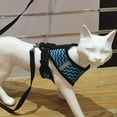thumbnail image 6 of NIBOLOG Pet Harness Reflective Breathable Mesh Vest Adjustable Quick Release Cat Small Dog Harness Pet Supplies, 6 of 7