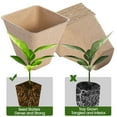 thumbnail image 3 of 120 Packs Peat Pots Seed Starter Pots Biodegradable Eco-Friendly Organic Plant Seed Starting Pots Garden Germination Nursery Pot for Seedlings with Plant Labels 3 Inch Square, 3 of 5