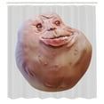 thumbnail image 3 of Ambesonne Humor Shower Curtain, Forever Alone Rage Face, 69"Wx84"L, Peach, 3 of 5