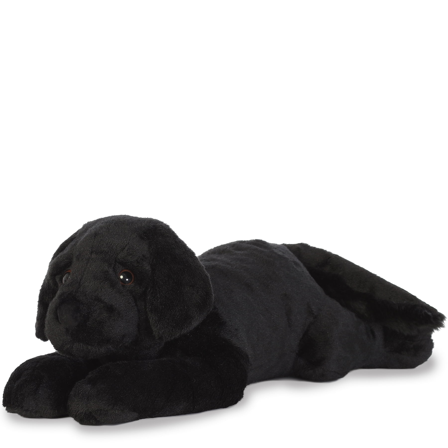 black lab teddy