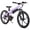 Purple, variant on JOYSTAR Radspur Electric Bike 20" with 250W Brushless Motor, 15 Miles 15MPH Electric Mountain Bicycle with Removable Battery, Green