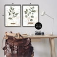 thumbnail image 3 of Stupell Country Herbs Basil Parsley Sprigs Botanical & Floral Painting Black Framed Art Print Wall Art, Set of 2, 3 of 8