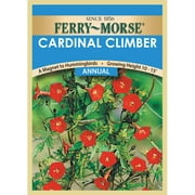 Ferry-Morse 45MG Cardinal Climber Vine Annual Flower Seeds Packet