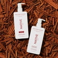 thumbnail image 6 of Native Moisturizing Shampoo, Warm Cider & Cinnamon, Sulfate Free, Paraben Free, 16.5 fl. oz, 6 of 7