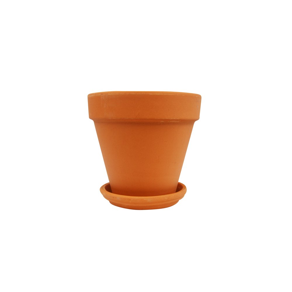 Terra Cotta Pot Standard 6 inch