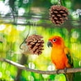 thumbnail image 4 of Parrot Toys under $5! Yannianjz 1/3/6 Pcs Parrot Chew Toy - Natural Pine Cones Parrot Chewing Toys Bird Toys Hangable Bird Cage Toy for Cage for Small and Medium-Sized Macaws, Cockatoos, Parakeet, 4 of 7