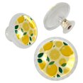 thumbnail image 2 of Imobaby 4 Pcs Plastic Round Cabinet Knob Home Decor - Lemon Juicy Fruit, 2 of 6