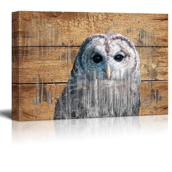 wall26 Double Exposure Rustic Canvas Wall Art - An Owl - Giclee Print Modern Wall Decor | Stretched Gallery Wrap Ready to Hang Home Decoration - 24x36 inches