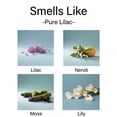 thumbnail image 4 of Aronica Sola Diffuser, 160ml, Pure Lilac, White, 1 Count, 4 of 7