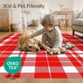 thumbnail image 4 of ODIKA 4'x6' Washable Area Rug Bordered Farmhouse Motif Checkered Striped Christma Plaid Checked Refined for Home Office, Under Desk, Non-Slip Chair-Friendly, Flatwoven, 4 of 7