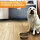 thumbnail image 4 of Cuencos de Acero Inoxidable Neater Pet Brands Extra Grandes para Perros y Gatos, 4 of 6