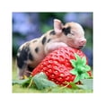 thumbnail image 1 of kurtrusly Rhinestone Needlework Embroidery Strawberry Cute Pig Painting Diamond Cross-stitch Needlework Stitchwork Drawing Oilcloth, 1 of 4