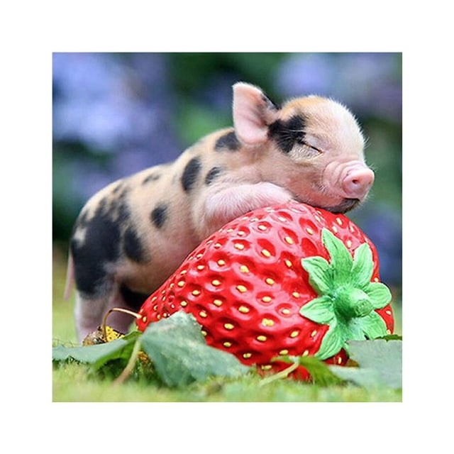 kurtrusly Rhinestone Needlework Embroidery Strawberry Cute Pig Painting Diamond Cross-stitch Needlework Stitchwork Drawing Oilcloth